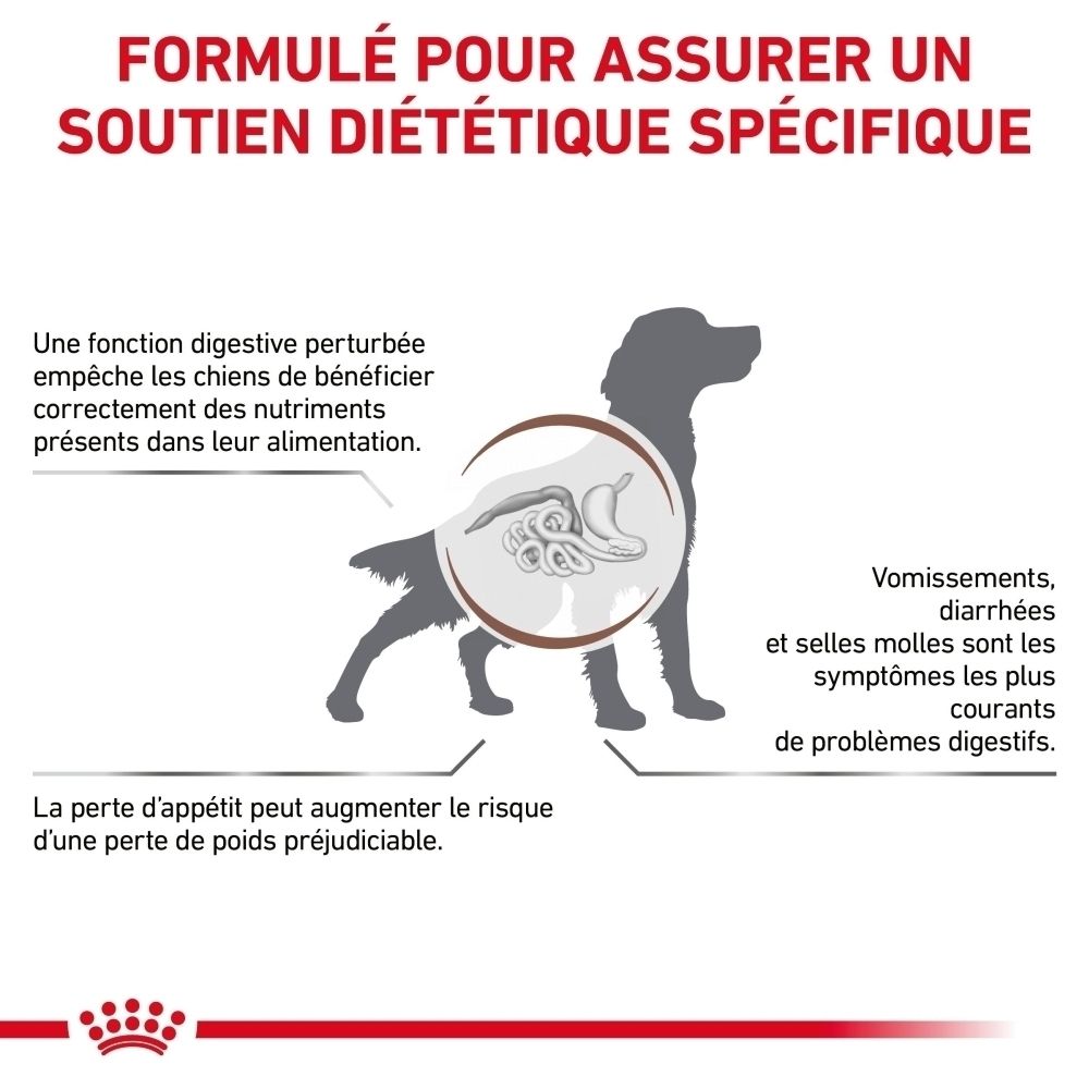 Illustration des bénéfices nutritionnels pour la santé digestive et l'équilibre électrolytique.