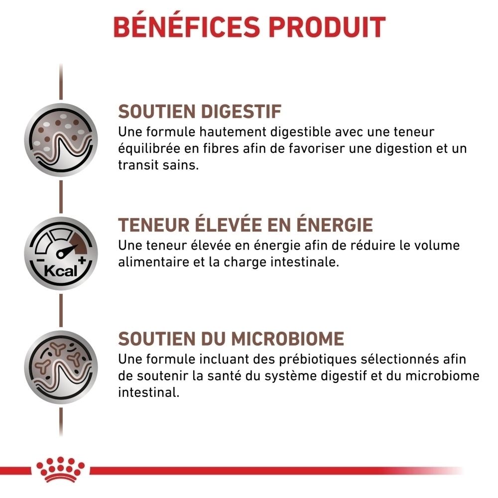Une boîte de nourriture humide Royal Canin Veterinary Gastrointestinal, dos avec informations détaillées.