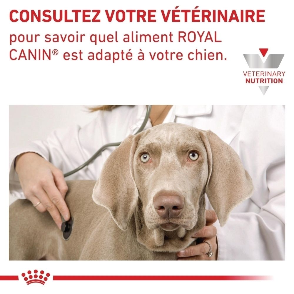 Une boîte de nourriture humide Royal Canin Veterinary Gastrointestinal, dos avec informations détaillées.
