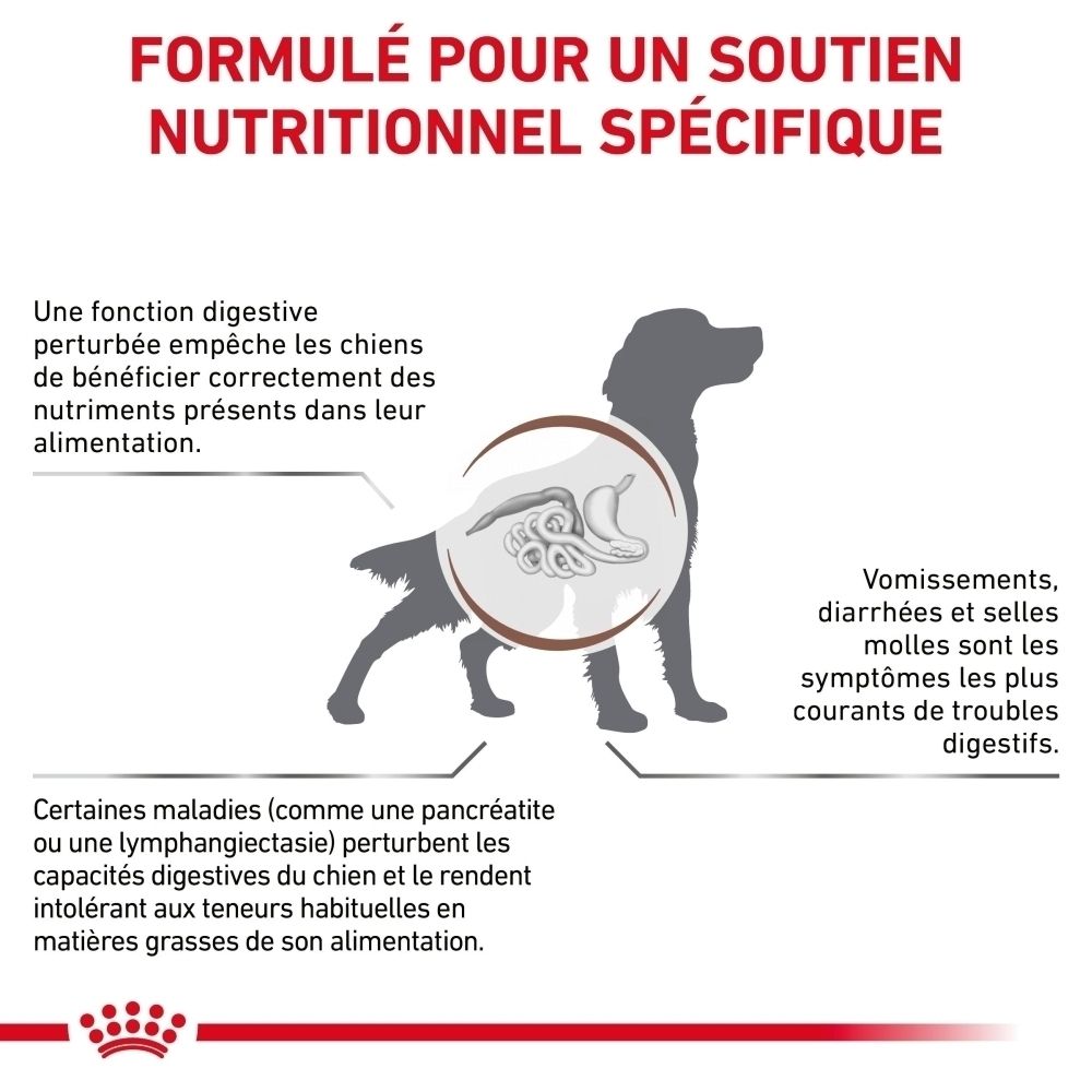 Graphique illustrant les problèmes digestifs chez le chien et le rôle de ROYAL CANIN Veterinary Gastrointestinal Low Fat.