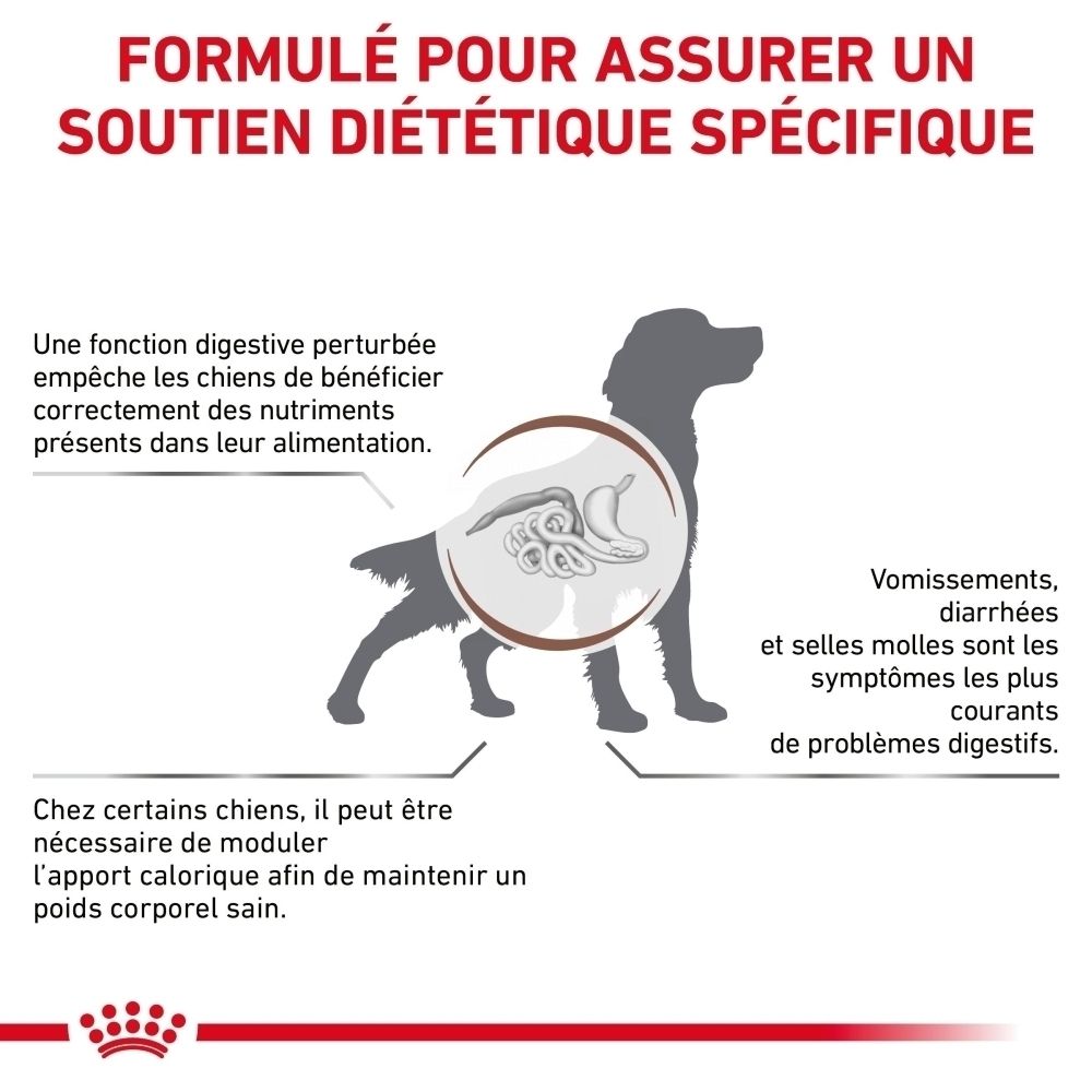 Sac de croquettes ROYAL CANIN Veterinary Gastrointestinal Moderate Calorie, vue latérale.