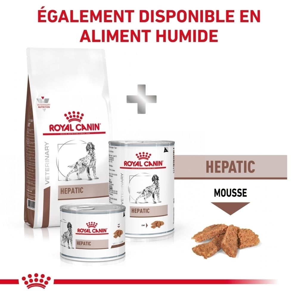 Vétérinaire examinant un chien, conseil sur Royal Canin Veterinary Hepatic.