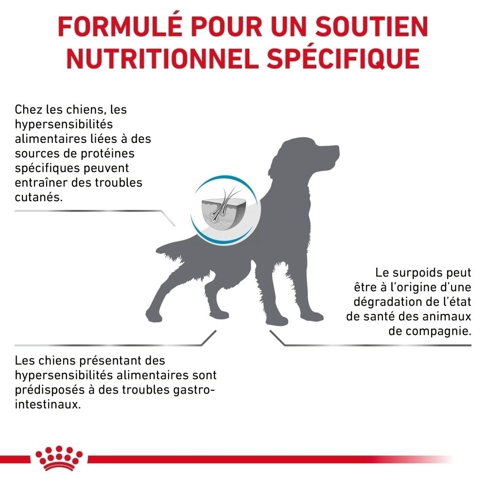Sac de nourriture pour chien : Royal Canin Veterinary Hypoallergenic Moderate Calorie, 1,5 kg.