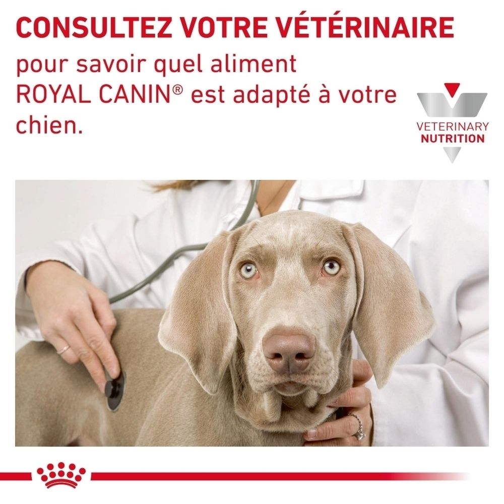 Sac de croquettes Royal Canin Hypoallergenic Small Dogs avec motif de chien.