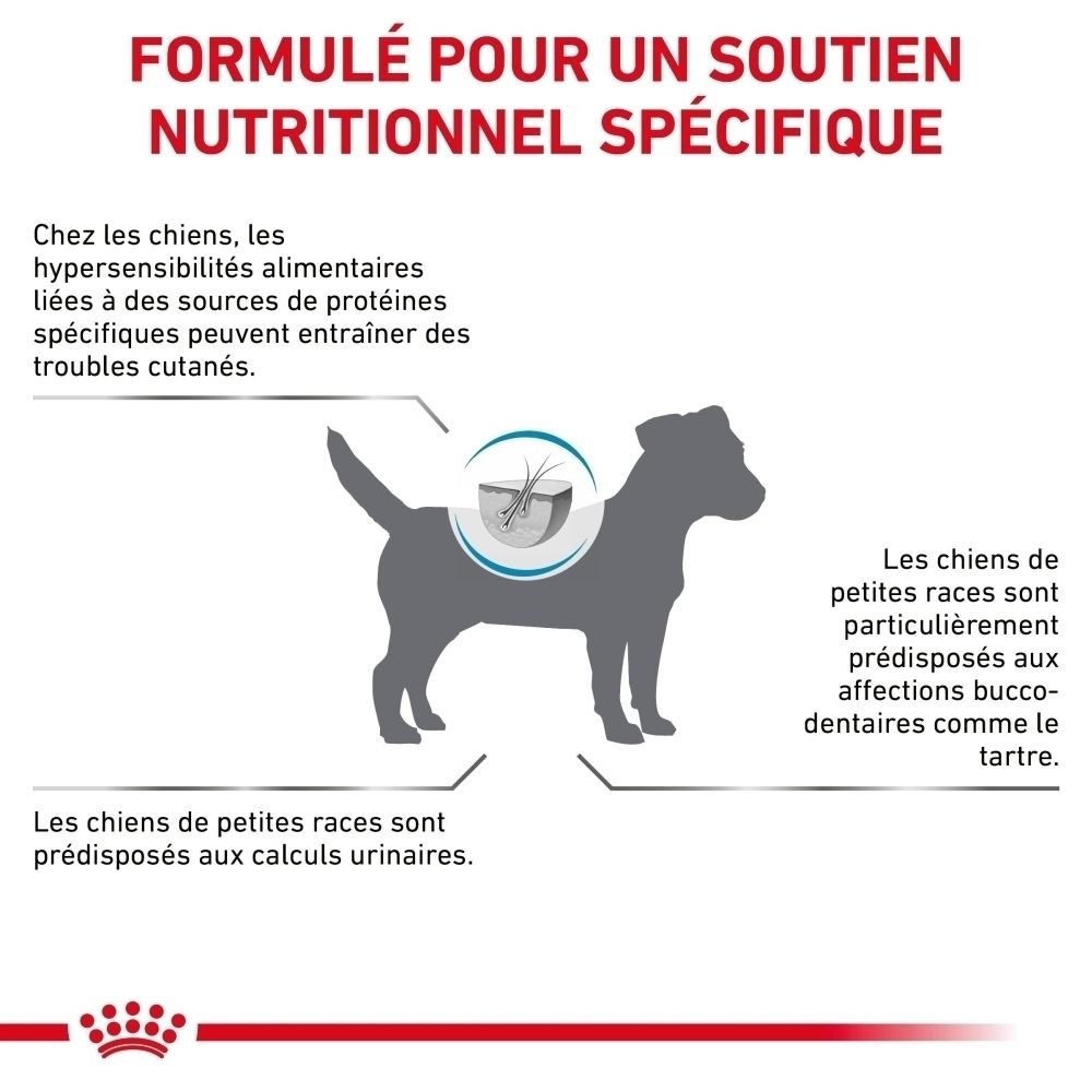 Sac de croquettes Royal Canin Hypoallergenic Small Dogs avec motif de chien.