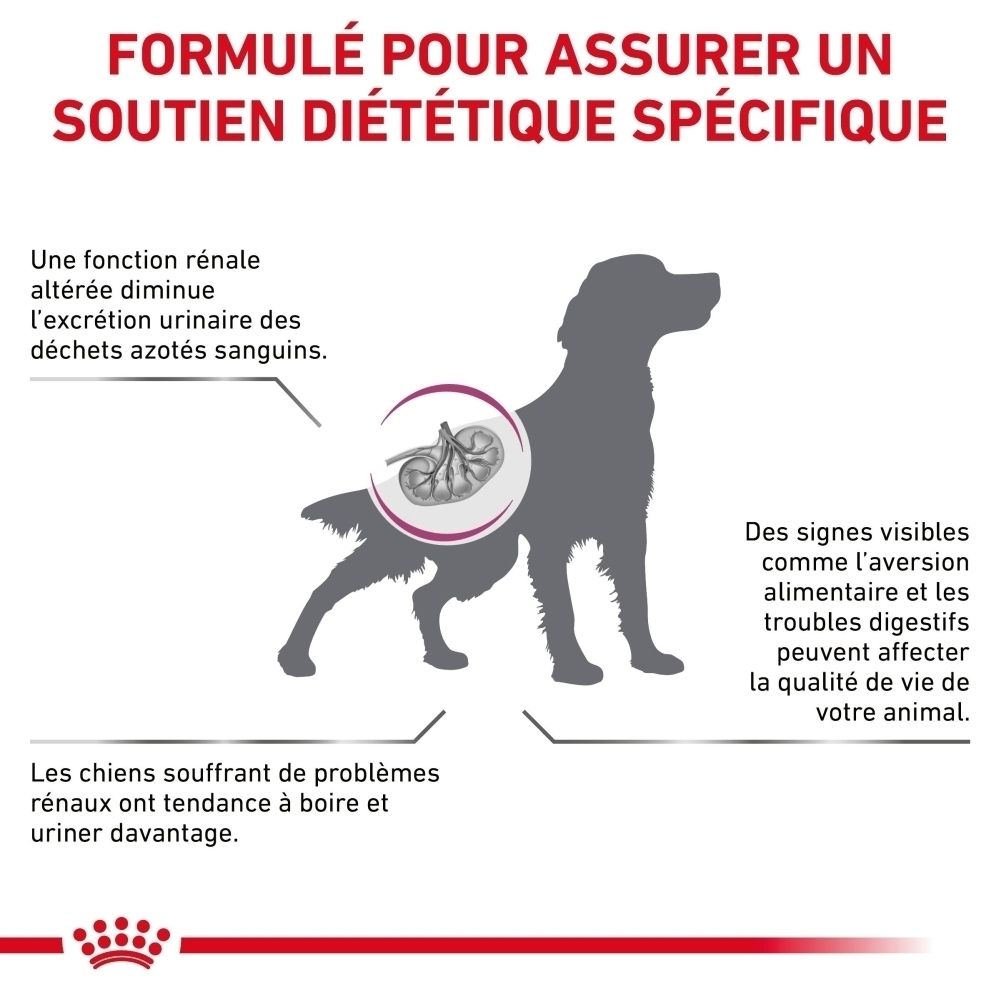 Graphique expliquant comment les problèmes rénaux peuvent affecter la qualité de vie des chiens.