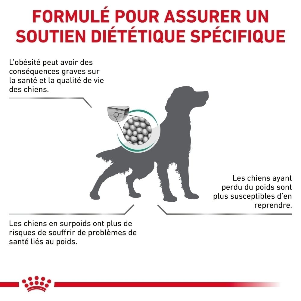 Graphique sur la perte de poids chez les chiens avec Royal Canin Satiety Weight Management.