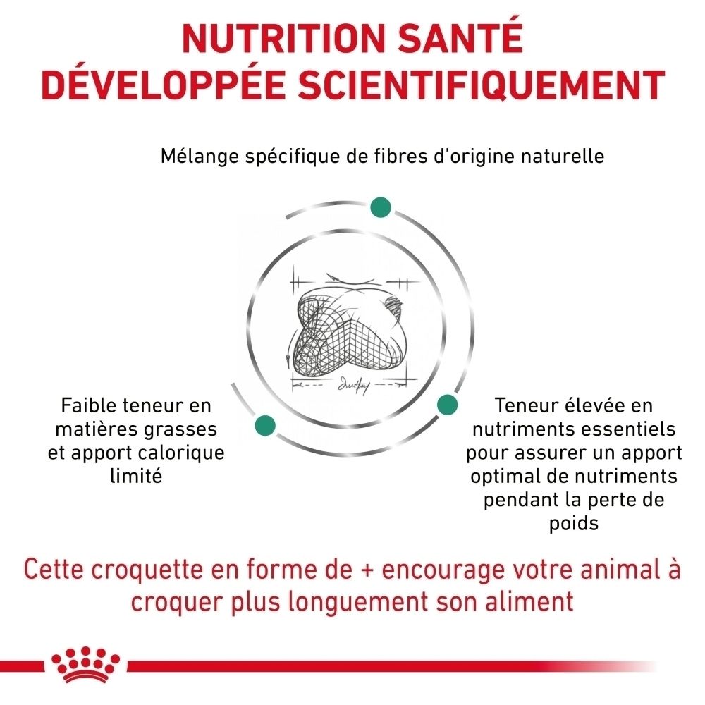 Graphique sur la nutrition scientifiquement développée de Royal Canin Satiety Weight Management.