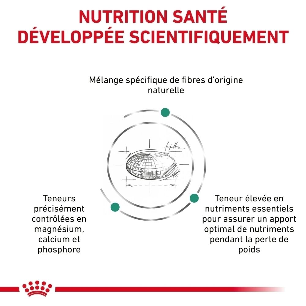 Graphique sur la nutrition scientifiquement développée de ROYAL CANIN® Satiety Weight Management.