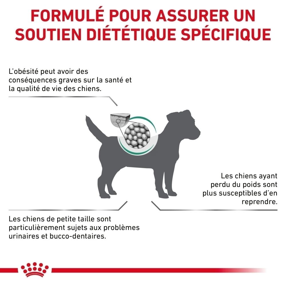 Dos d'un sac de nourriture pour chiens ROYAL CANIN® Satiety Weight Management pour petits chiens.