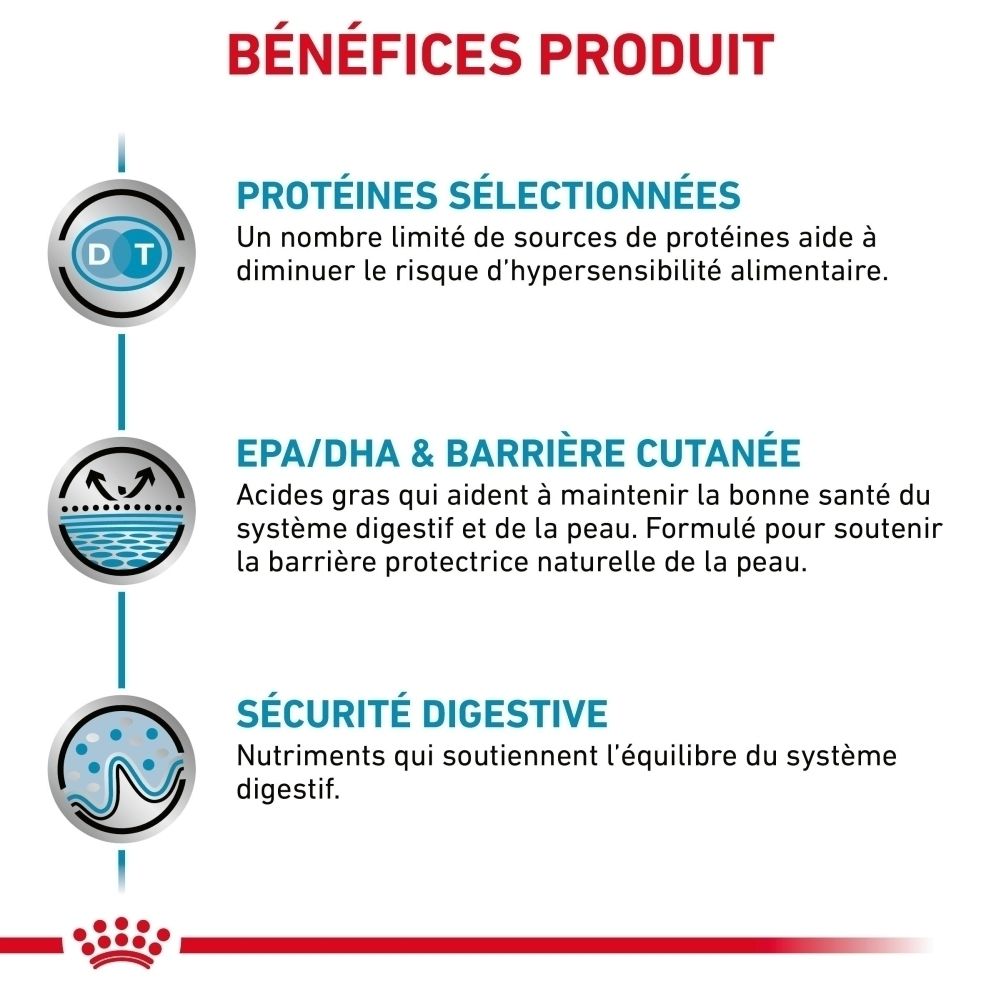 Graphique : Recommandations d'alimentation pour chiens par poids et condition corporelle. Royal Canin.