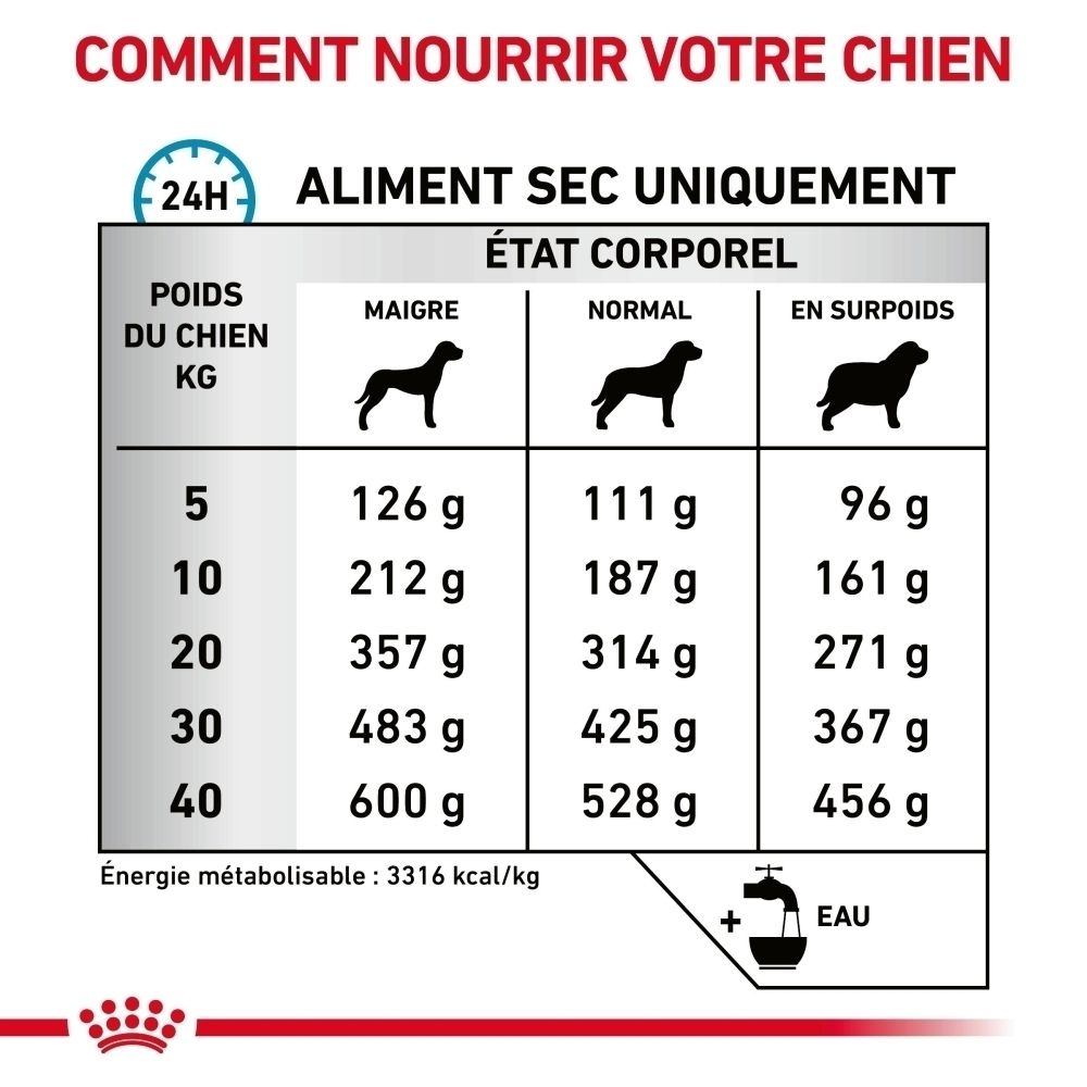 Graphique : Constituants analytiques et ingrédients de la nourriture pour chiens. Royal Canin.