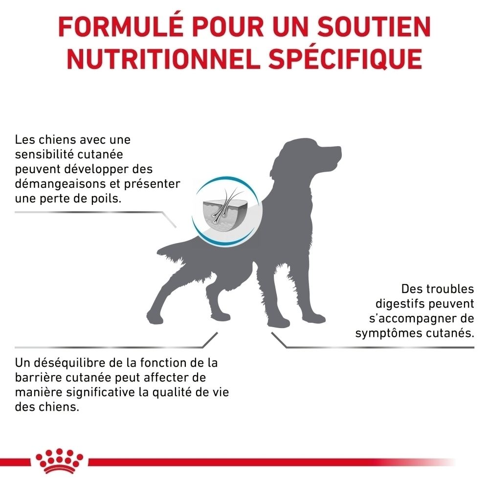 Royal Canin VET-D Skin Care Adult : Formulé pour un soutien nutritionnel spécifique.