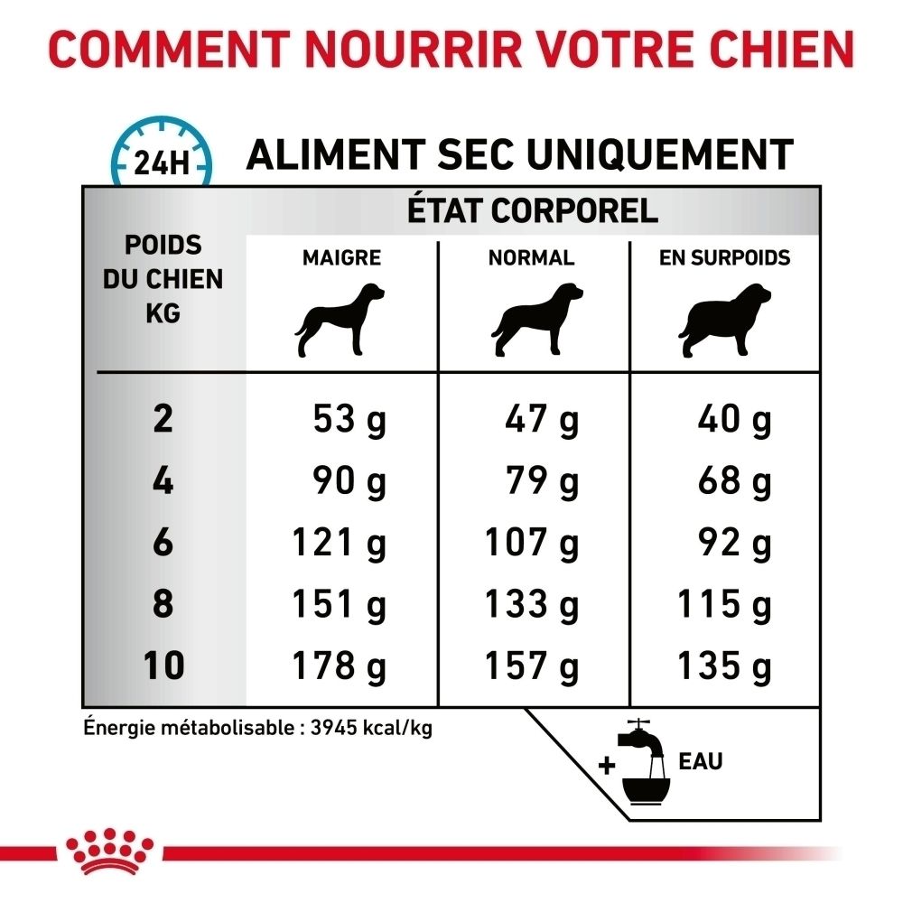 Sac Royal Canin Veterinary Skin Care Small Dogs, face avant avec motif de chien.