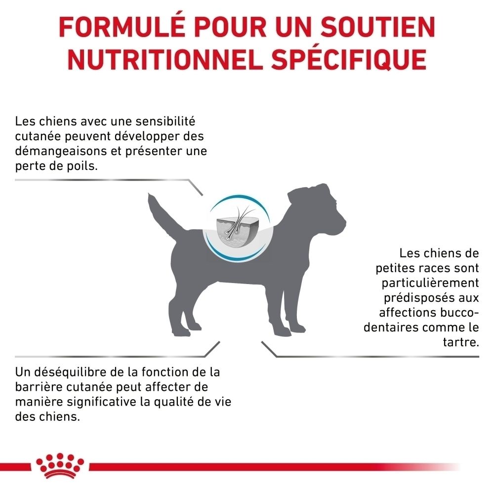 Sac Royal Canin Veterinary Skin Care Small Dogs, face avant avec motif de chien.