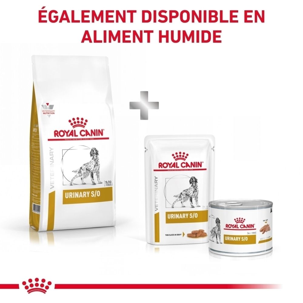 Constituants analytiques et ingrédients de la nourriture pour chien ROYAL CANIN® Urinary S/O.