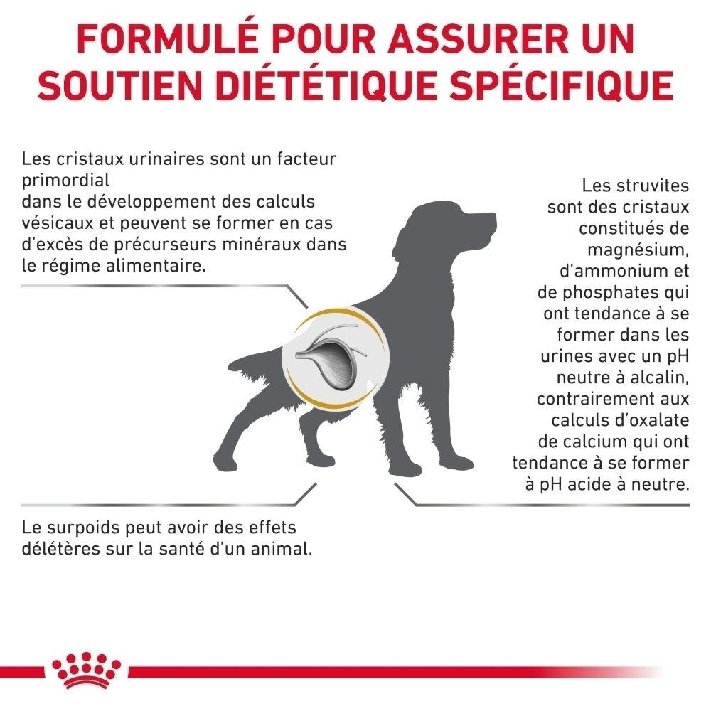 Informations en français sur la nourriture pour chien Royal Canin Urinary S/O Moderate Calorie.