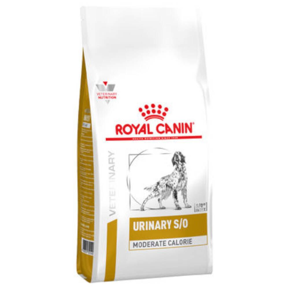 ROYAL CANIN® URINARY S/O