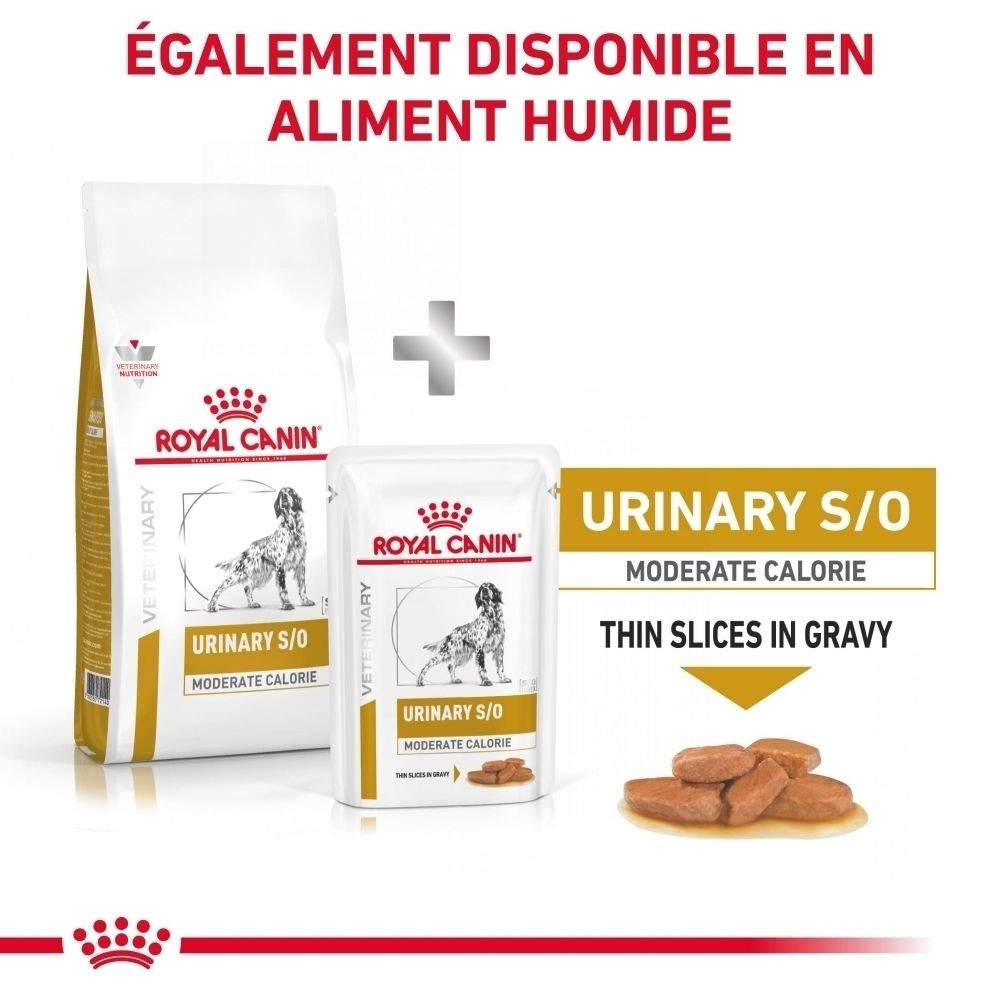 Royal Canin Urinary S/O Moderate Calorie : Également disponible en alimentation humide.