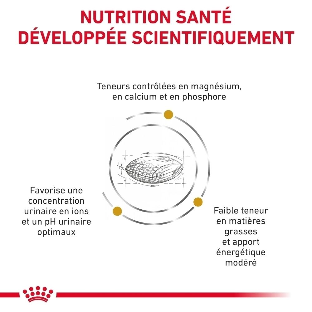 Représentation de la base scientifique de la nourriture pour chien Royal Canin Urinary S/O Moderate Calorie.