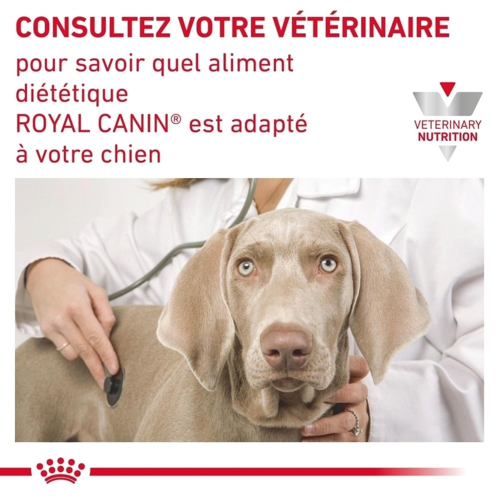 Représentation des avantages de la nourriture pour chien Royal Canin Urinary S/O Moderate Calorie pour les voies urinaires.