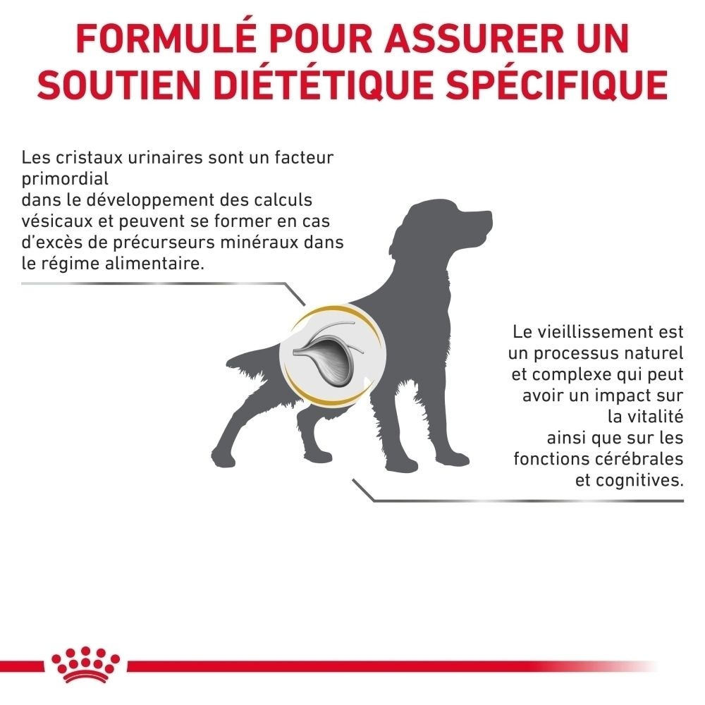 Sac de 3,5 kg de nourriture Royal Canin VET-Diet Urinary S/O Ageing pour chien.