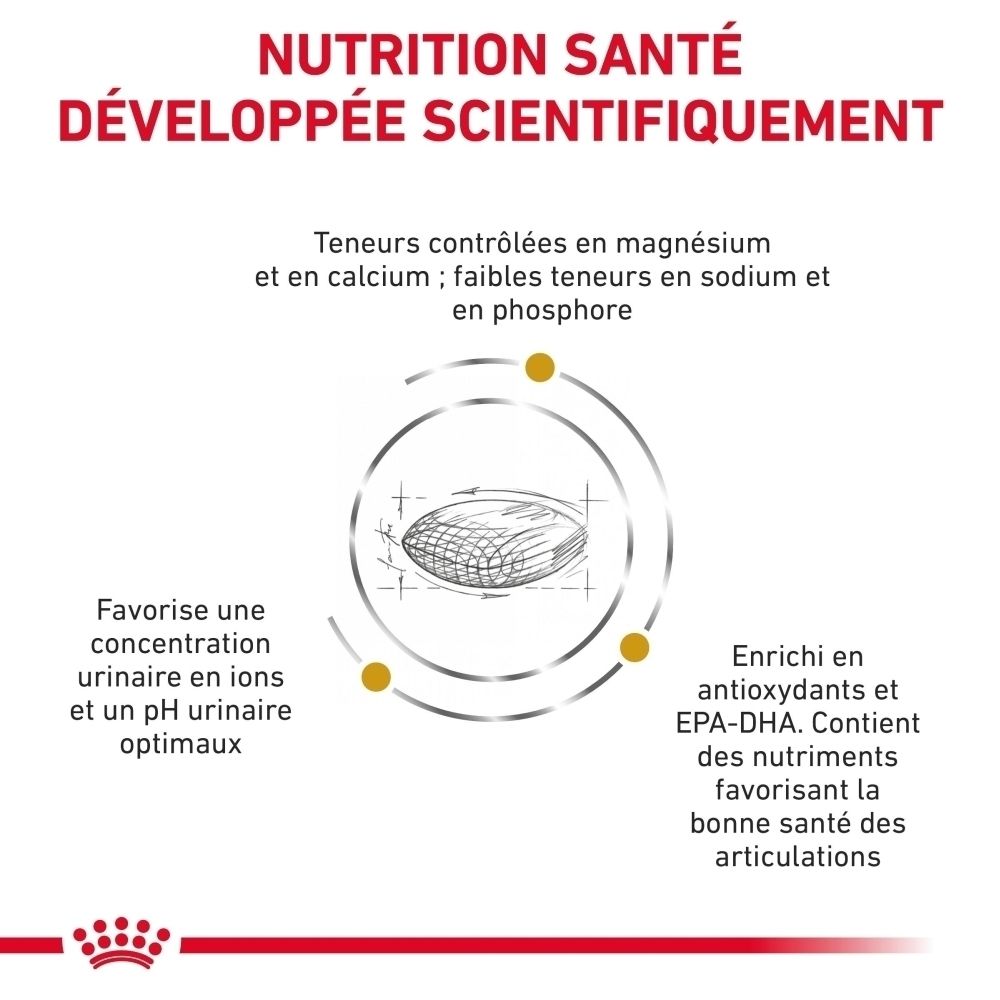 Royal Canin VET-D Urinary S/O Ageing7+ 8kg : Nutrition développée scientifiquement.