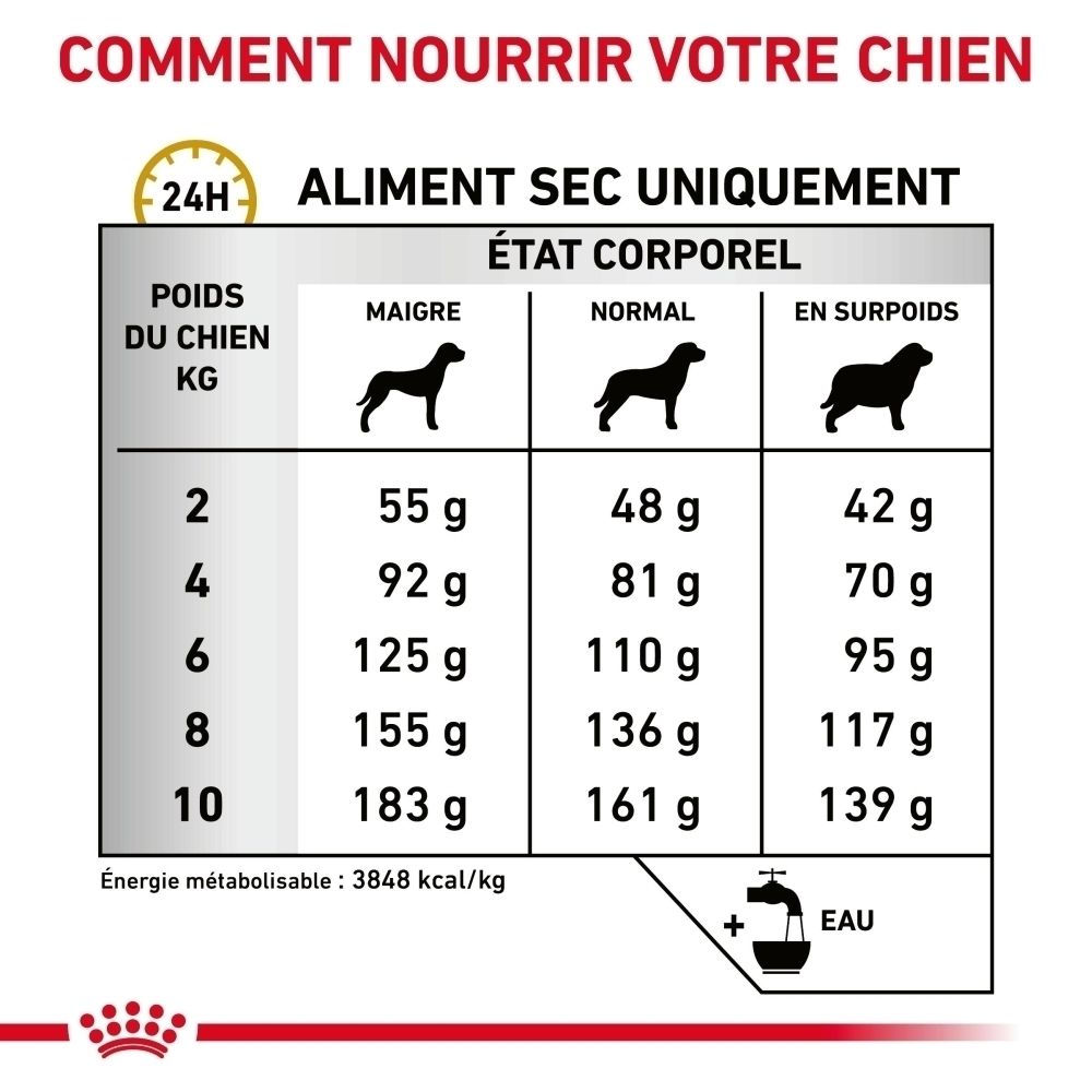 Royal Canin : Recommandations alimentaires pour chiens selon le poids.