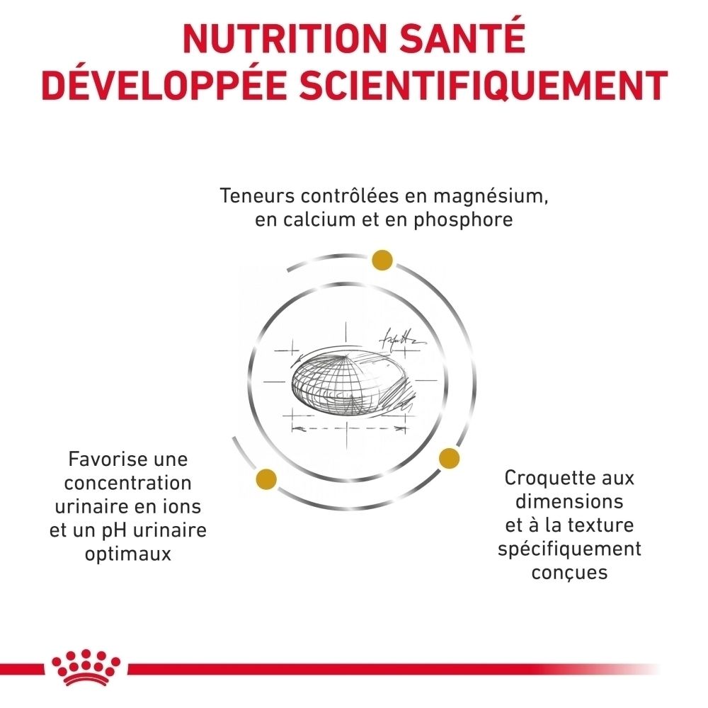Sac de nourriture pour chien : alimentation scientifiquement développée avec minéraux contrôlés.