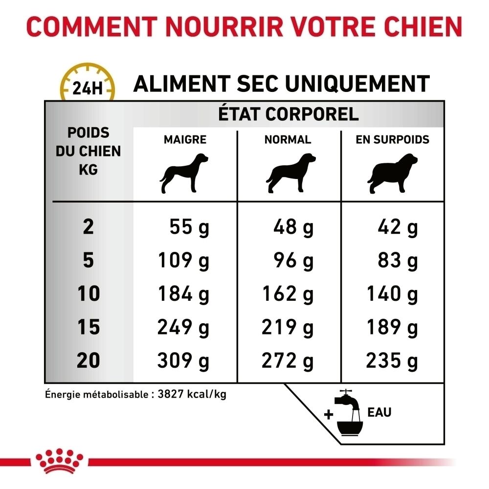 Guide d'alimentation Royal Canin Veterinary Urinary U/C pour chiens.