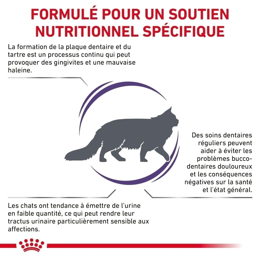 Illustration d'un chat avec du texte sur les soins dentaires et les affections urinaires.