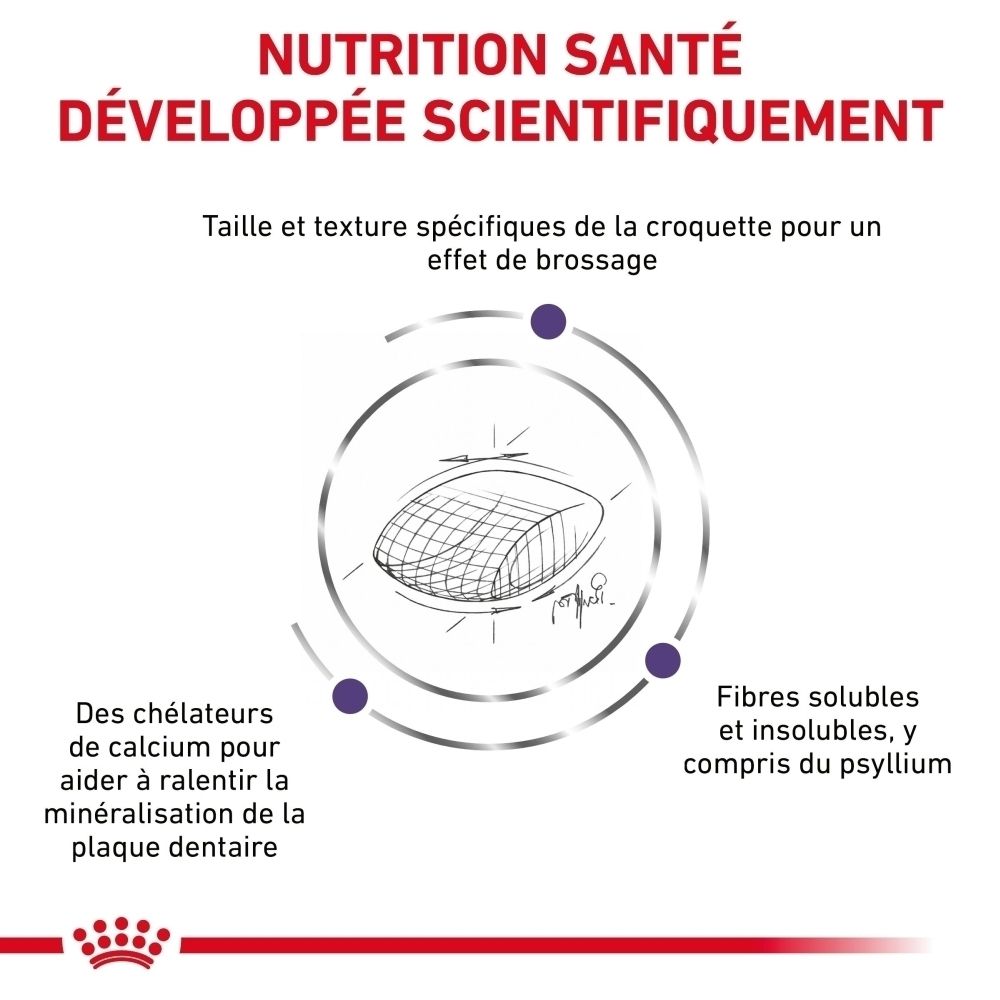 Illustration d'une croquette avec des indications sur les chélateurs de calcium et les fibres solubles/insolubles.