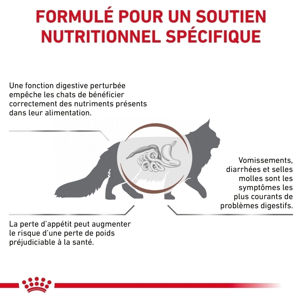Arrière d'un paquet de 2 kg de croquettes ROYAL CANIN® Veterinary Gastrointestinal pour chats.