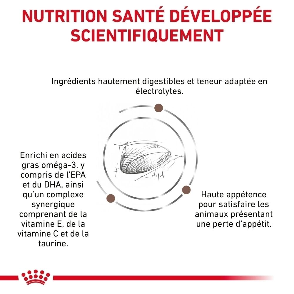 Dos d'un paquet de 4 kg de nourriture pour chats ROYAL CANIN® Veterinary Gastrointestinal avec recommandations d'alimentation.