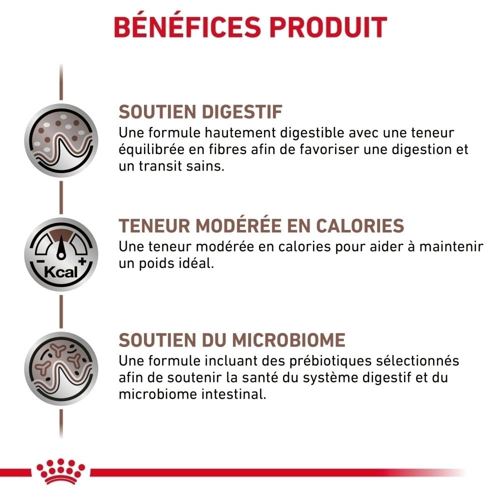 Sac de nourriture Royal Canin Gastrointestinal Moderate Calorie pour chat.