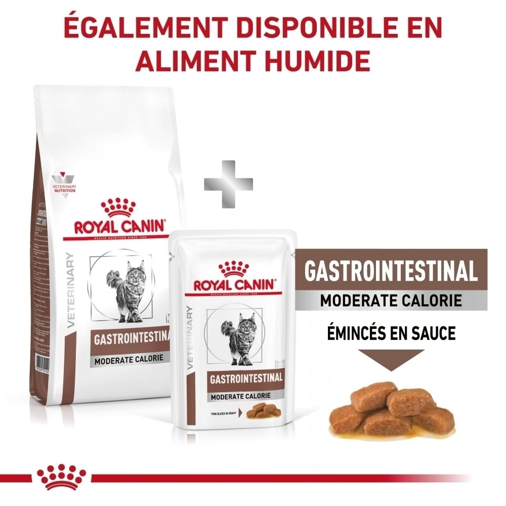 Sac de nourriture Royal Canin Gastrointestinal Moderate Calorie pour chat.