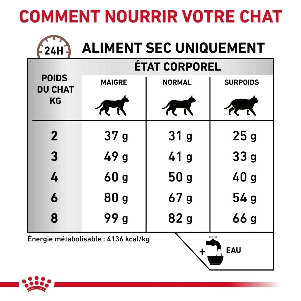 Guide d'alimentation pour nourriture sèche ROYAL CANIN Veterinary Hepatic pour chats.