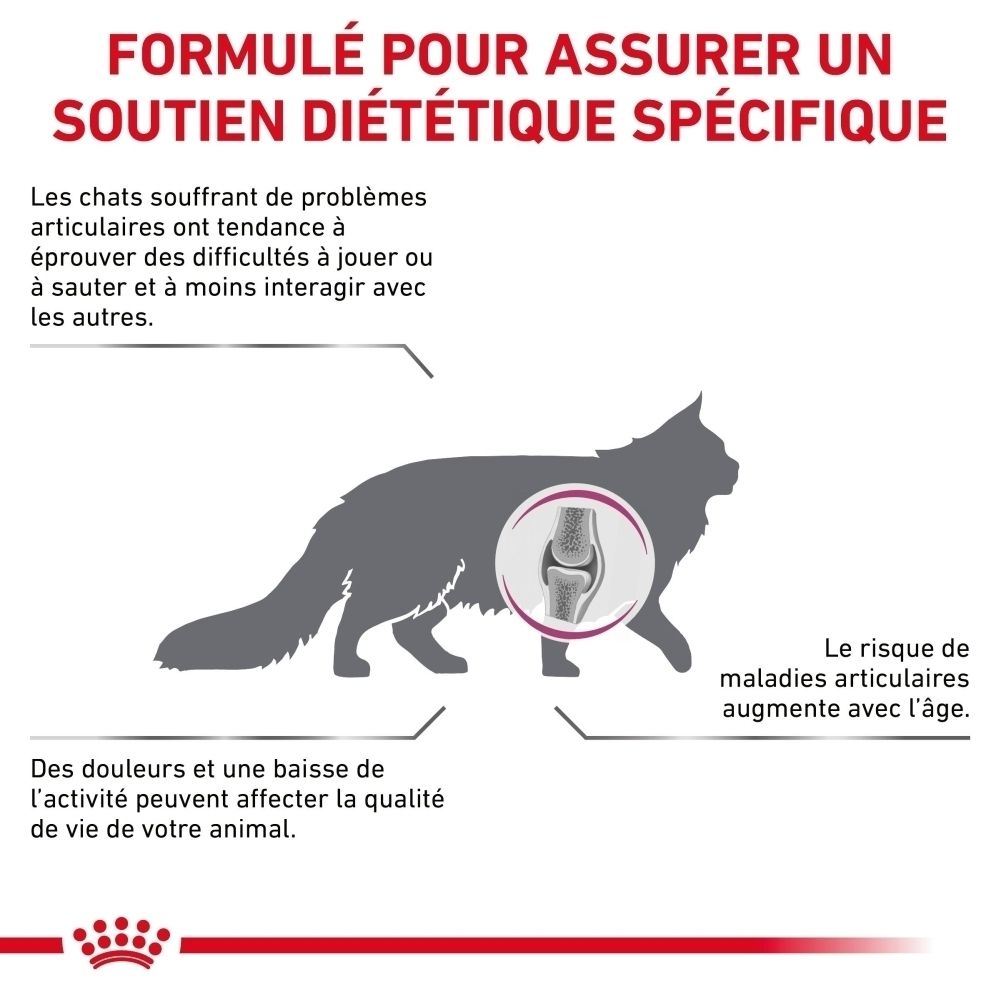 Sac Royal Canin Veterinary Mobility pour chats, 2 kg, vue arrière avec texte.