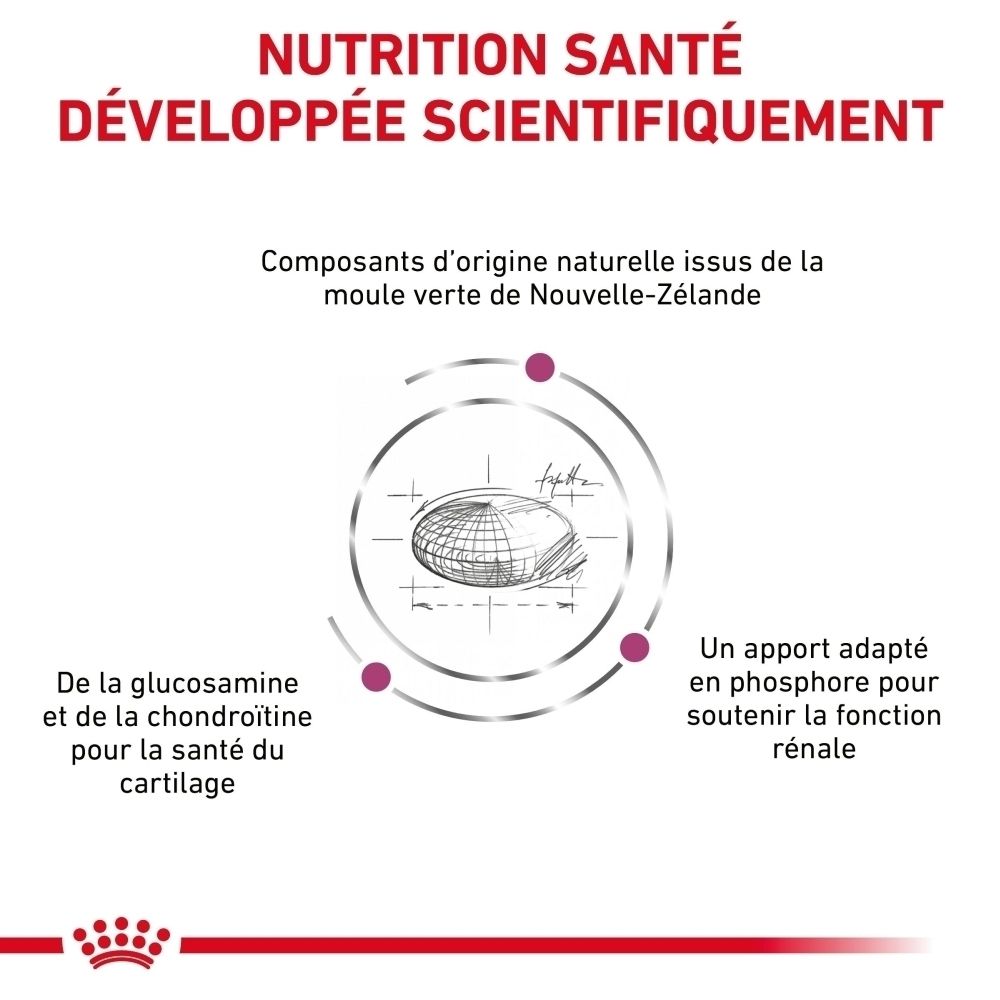 Sac Royal Canin Veterinary Mobility pour chats, 2 kg, vue de côté.
