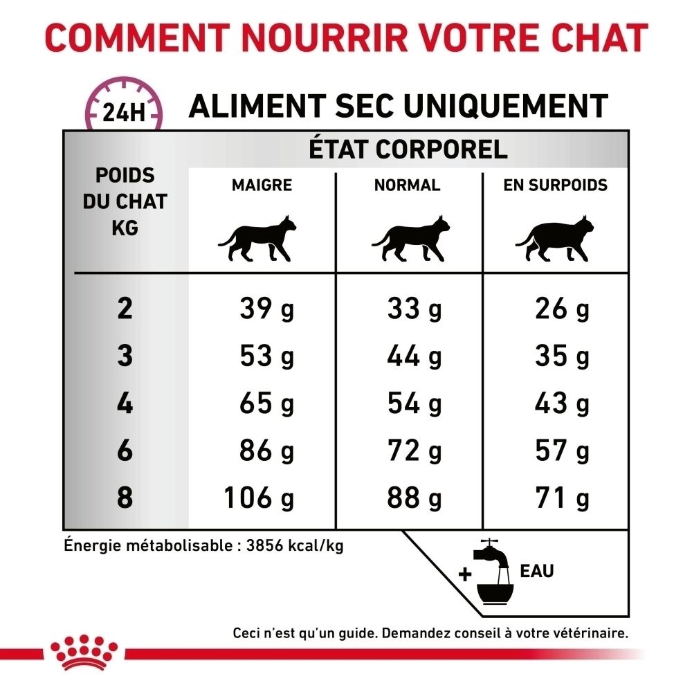 Sac Royal Canin Veterinary Mobility pour chats, 2 kg, vue de face.