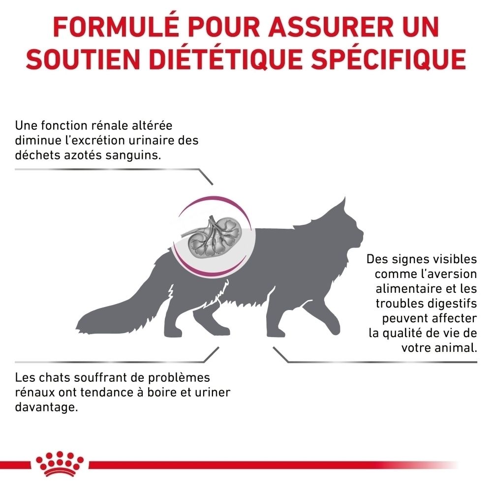 Sac de nourriture ROYAL CANIN Veterinary Feline Renal Select, vue de côté.