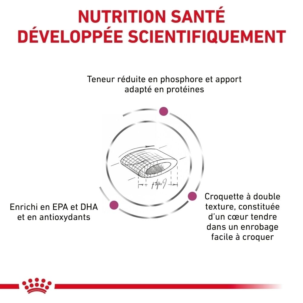 Infographie sur Royal Canin Renal Select : Formulé pour un soutien diététique spécifique pour les reins.