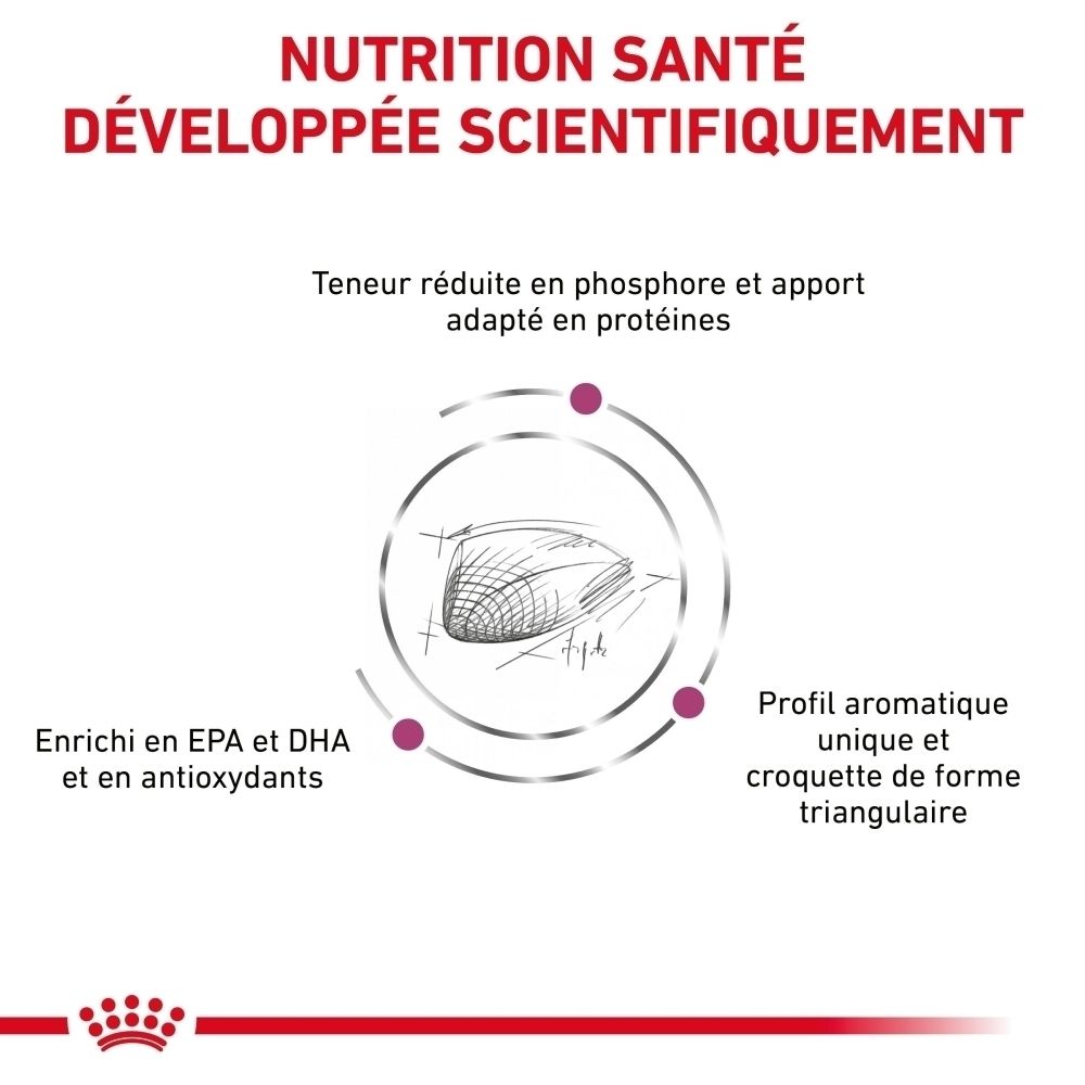 Avantages produit ROYAL CANIN® Renal Special : Soutien rénal, énergie adaptée, arôme.