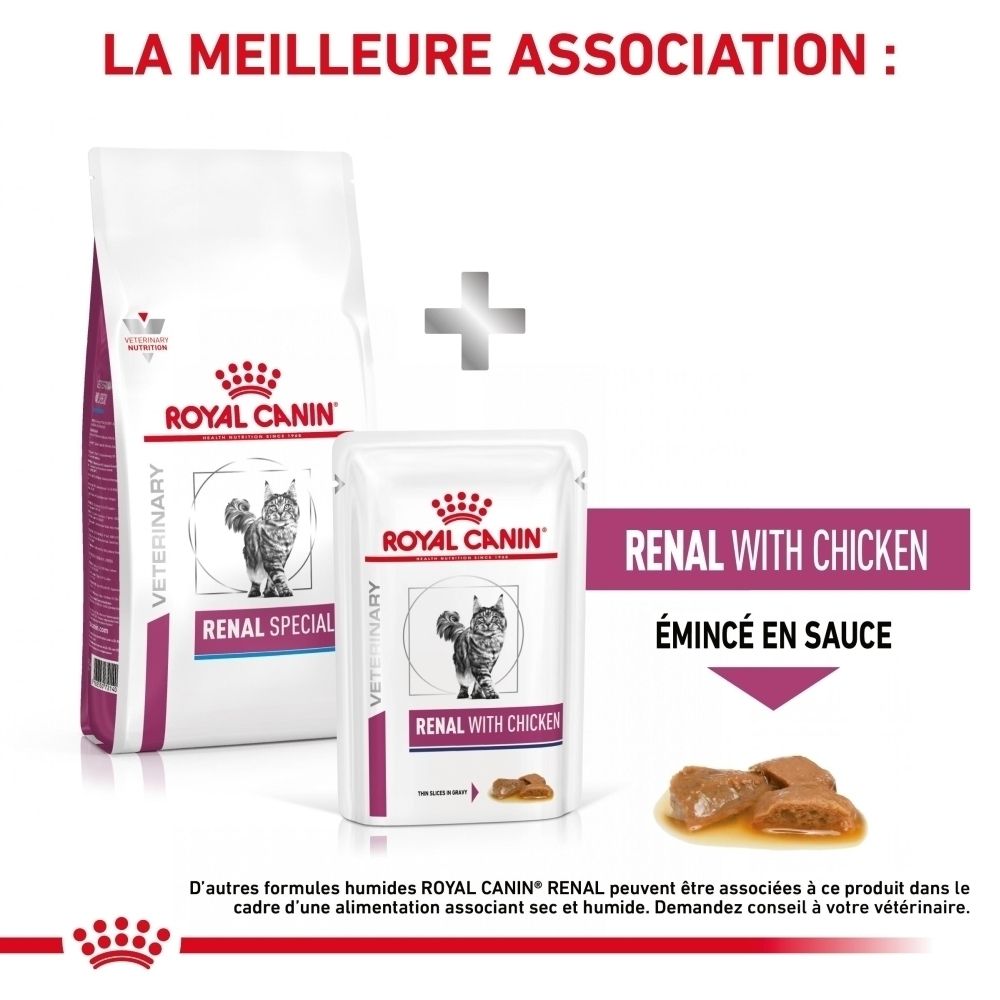 Un chat examiné par un vétérinaire recommandant ROYAL CANIN® Veterinary Nutrition.