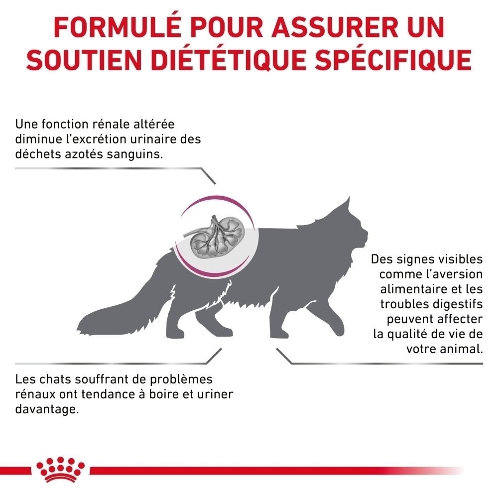 ROYAL CANIN Renal Special : Soutient la fonction rénale chez les chats.