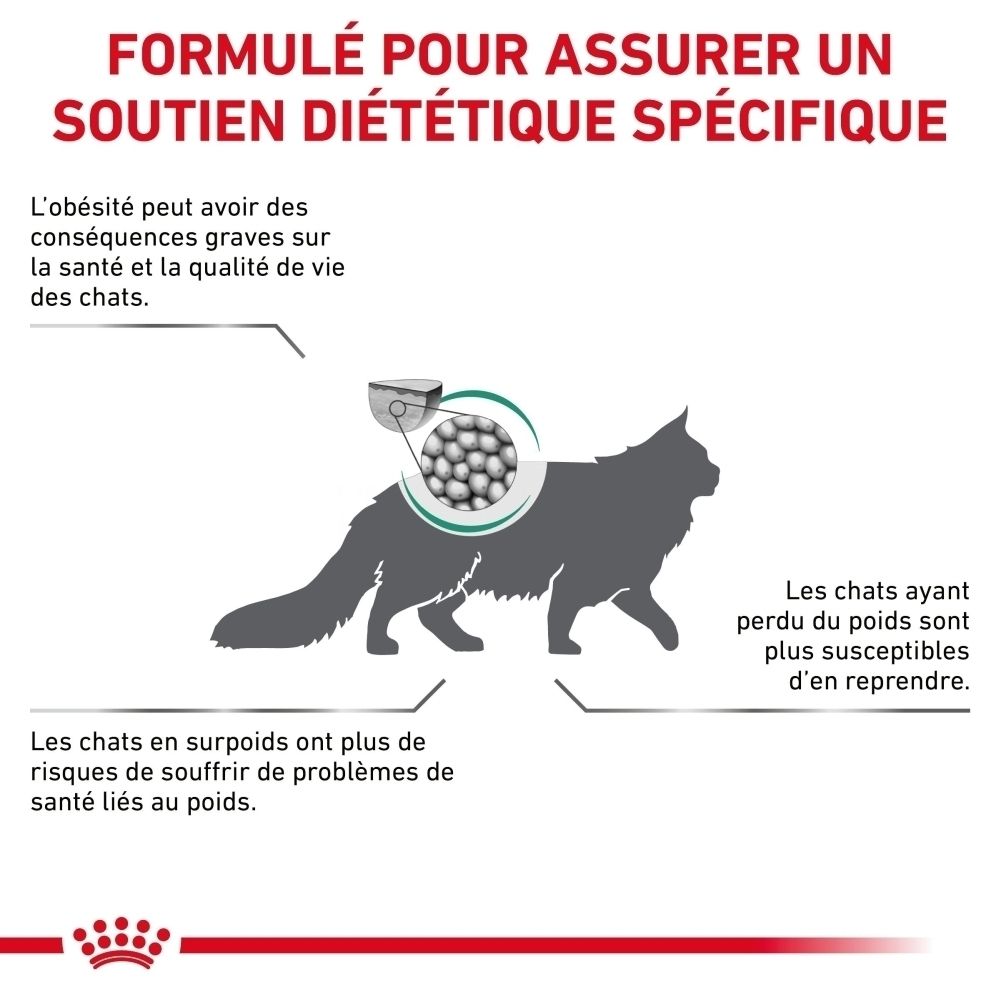 Graphique : nutrition scientifiquement développée pour chats.