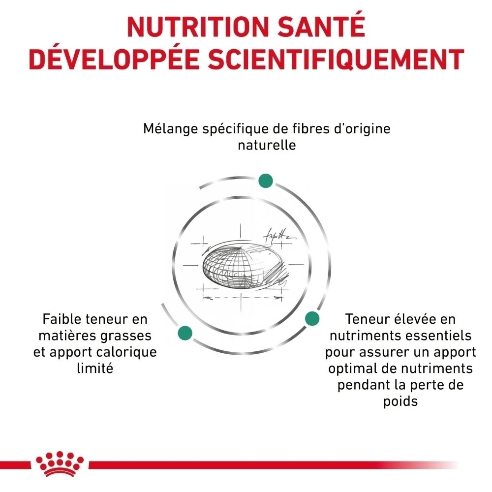 Graphique : avantages produit pour chats, gestion du poids, satiété et maintien musculaire.