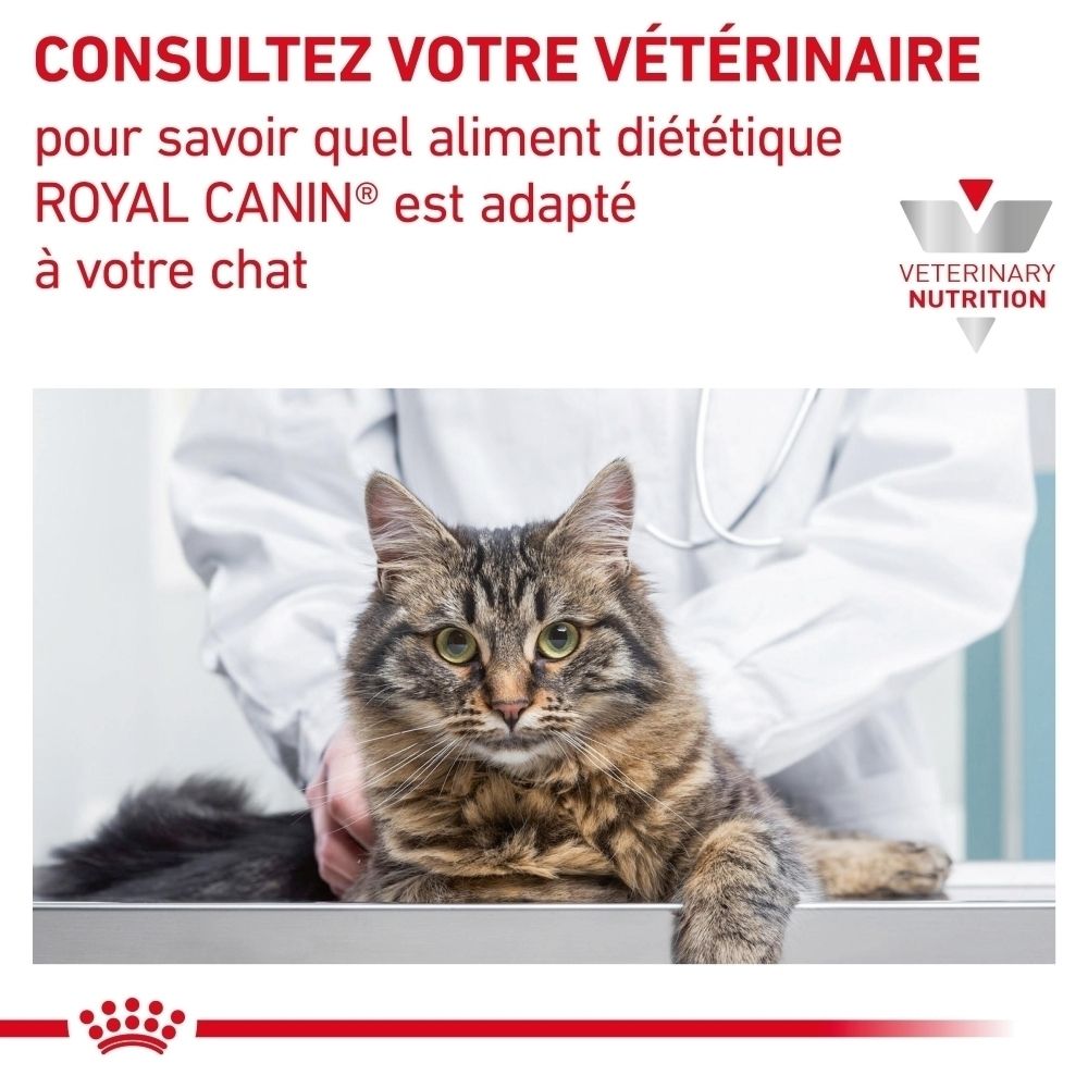 Sachet Royal Canin Satiety Weight Management avec motif de chat.