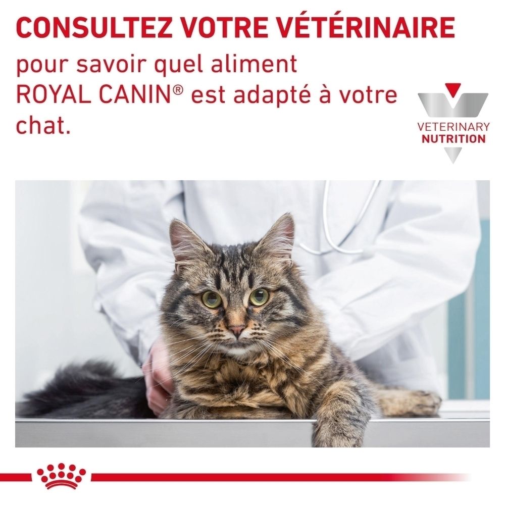 Un vétérinaire conseille sur l'alimentation ROYAL CANIN® adaptée à un chat.