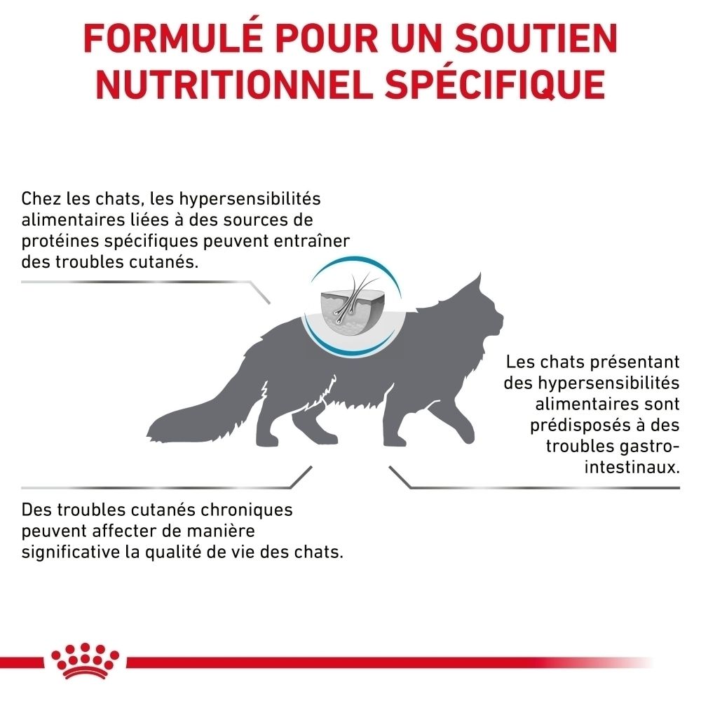 Graphique expliquant comment les hypersensibilités alimentaires chez le chat peuvent causer des problèmes de peau et digestifs.